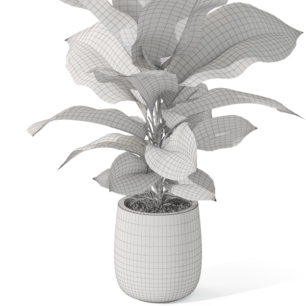 Plants collection 1064
