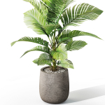 Plants collection 1064