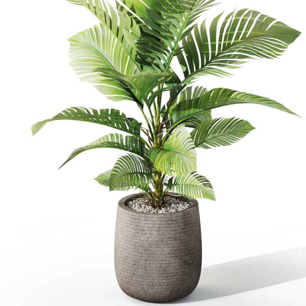 Plants collection 1064
