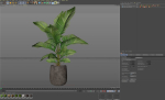 Plants collection 1064