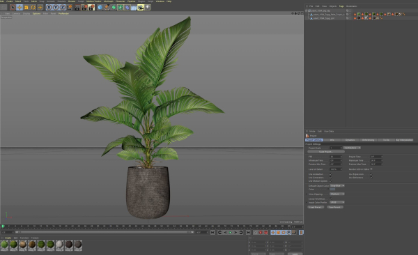 Plants collection 1064