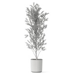 Plants collection 1065