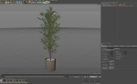 Plants collection 1065