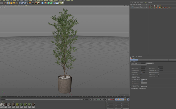 Plants collection 1065