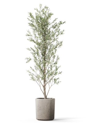 plants-collection-1065-3d-model-8db1823d7a