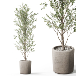 Plants collection 1065