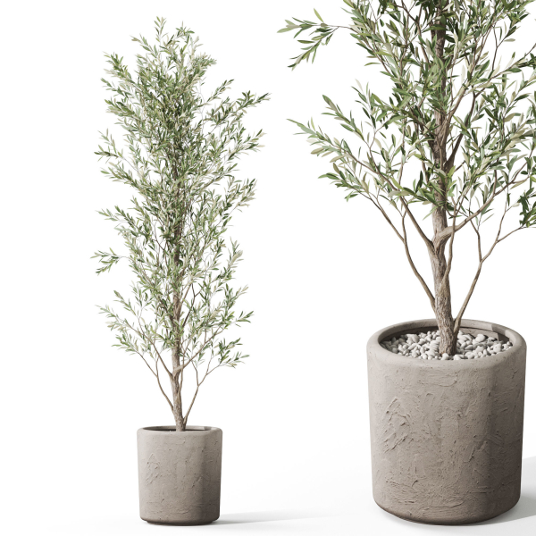 Plants collection 1065