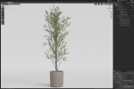 Plants collection 1065