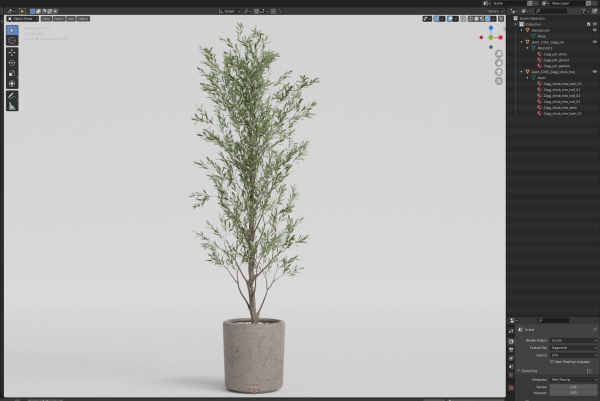Plants collection 1065