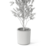 Plants collection 1065