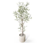Plants collection 1066