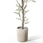Plants collection 1066