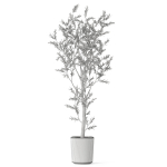 Plants collection 1066