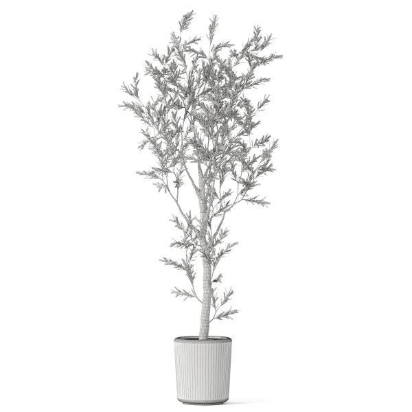 Plants collection 1066