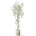 Plants collection 1066