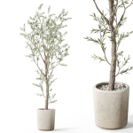 Plants collection 1066