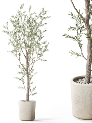 Plants collection 1066