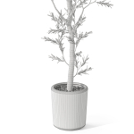 Plants collection 1066