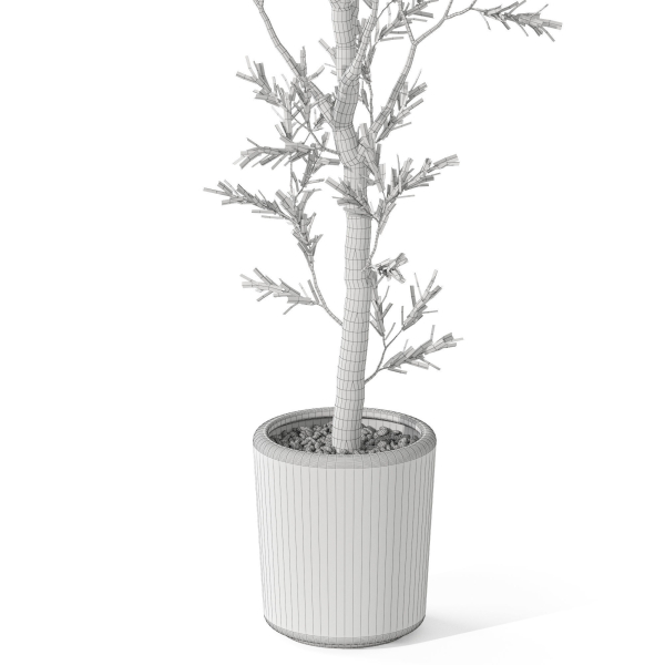 Plants collection 1066