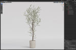 Plants collection 1066