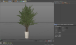 Plants collection 1067