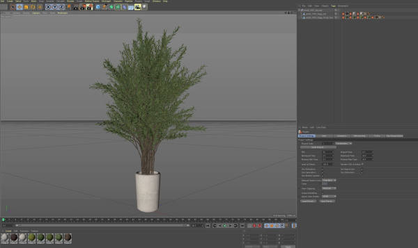 Plants collection 1067