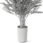 Plants collection 1067
