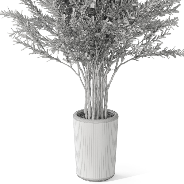 Plants collection 1067