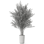 Plants collection 1067