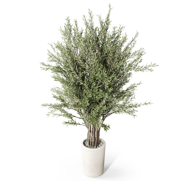Plants collection 1067