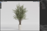Plants collection 1067