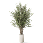 Plants collection 1067