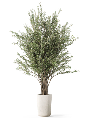 plants-collection-1067-3d-model-b94f6106c5