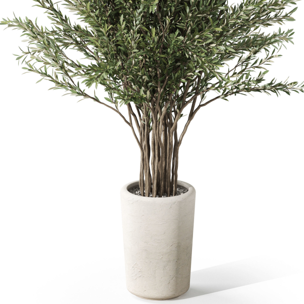 Plants collection 1067