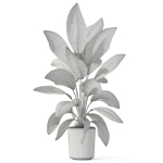 Plants collection 1068