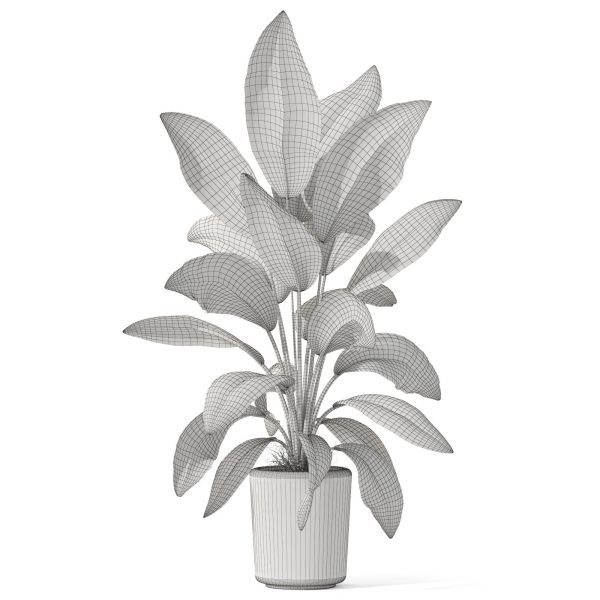 Plants collection 1068