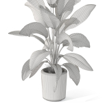 Plants collection 1068