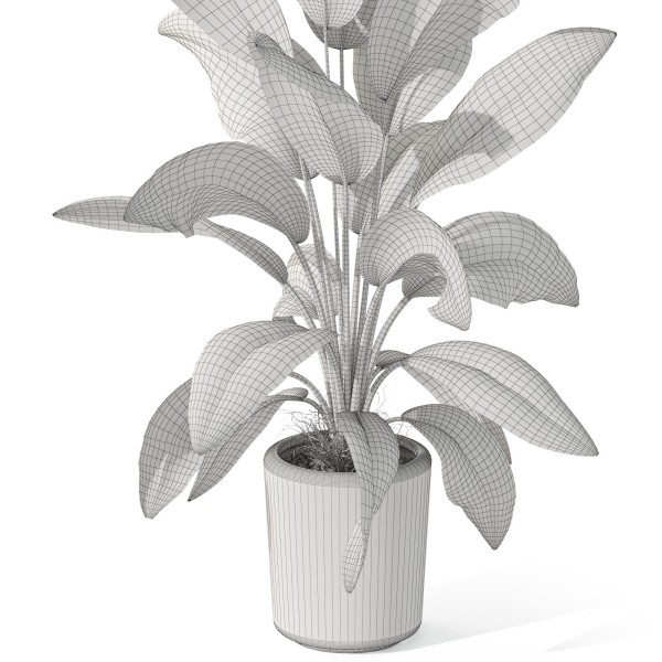 Plants collection 1068