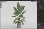 Plants collection 1068