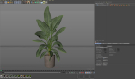 Plants collection 1068