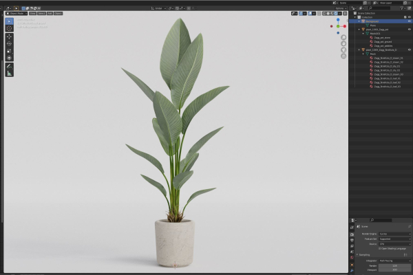 Plants collection 1069