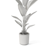 Plants collection 1069