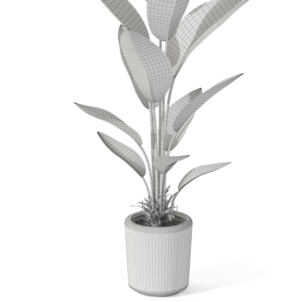 Plants collection 1069