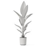 Plants collection 1069