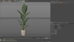 Plants collection 1069
