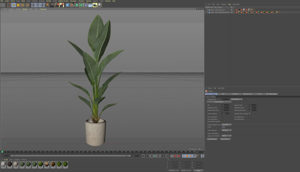 Plants collection 1069