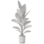 Plants collection 1070