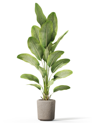 plants-collection-1070-3d-model-3664cea4a8