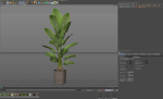 Plants collection 1070