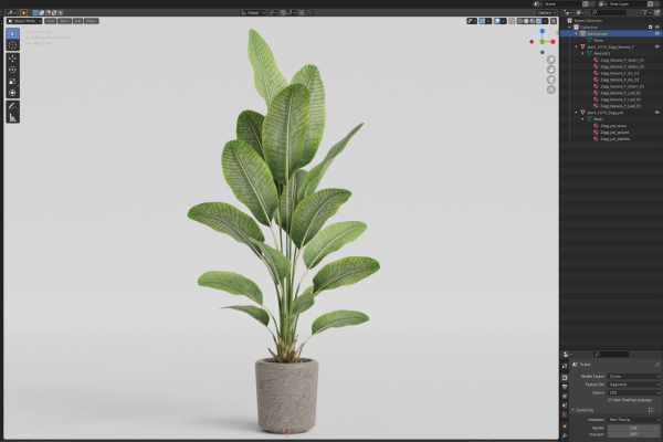 Plants collection 1070